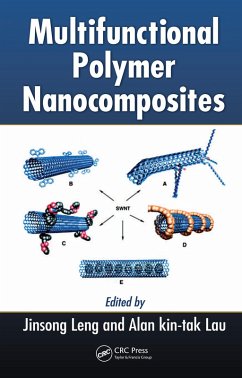 Cover Multifunctional Polymer Nanocomposites (eBook, ePUB)
