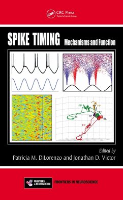 Spike Timing (eBook, ePUB)