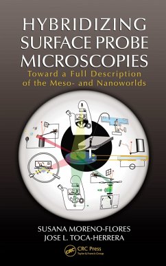 Cover Hybridizing Surface Probe Microscopies (eBook, ePUB)