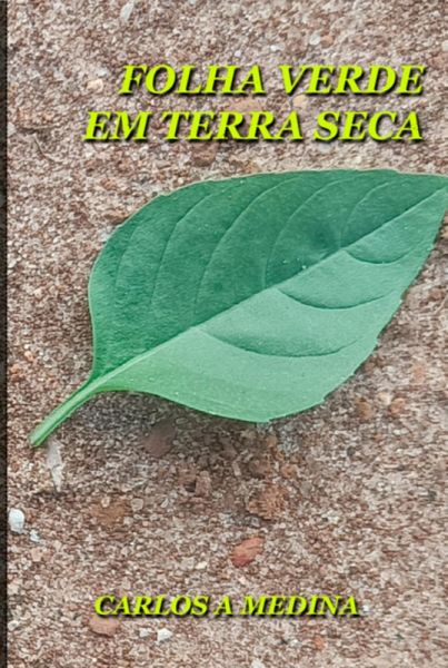 Folha Verde Em Terra Seca (eBook, ePUB)