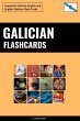 Galician Flashcards (eBook, ePUB) - Bild 1