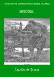 O PEREGRINO DE JOHN BUNYYAN ILUSTRADO E... - Bild 1