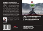 Le scénario des industries de Teresina face à la production plus propre