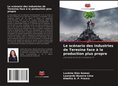 Le scénario des industries de Teresina face à la production plus propre - Dias Gomes, Luvânia;Bezerra Lima, Leonardo;Á. P. Franco, Eldelita