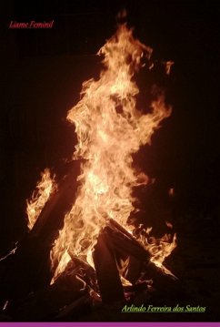 Cover Liame Feminil (eBook, ePUB)