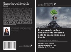 Cover El escenario de las industrias de Teresina ante la producción más limpia