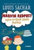 Marvin Redpost Ucan Dogum Günü Pastasi Marvin Redpost Ucan Dogum Günü Pastasi
