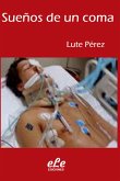 Sueños De Un Coma (eBook, ePUB)