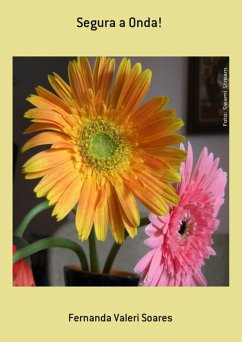 Cover Segura A Onda! (eBook, ePUB)