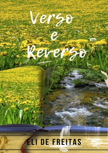 Verso E Reverso (eBook, ePUB)