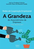 Redes De Cooperação Empresarial (eBook, ePUB) Redes De Cooperação Empresarial (eBook, ePUB)