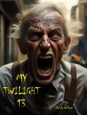 My Twilight 13 (eBook, ePUB)