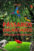 Pássaros Encantados (eBook, ePUB)
