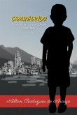 Caminhando (eBook, ePUB)