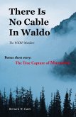 There Is No Cable In Waldo (eBook, ePUB) There Is No Cable In Waldo (eBook, ePUB)