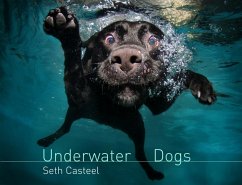 Cover Underwater Dogs (eBook, ePUB)