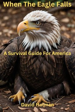 Cover When The Eagle Falls; A survival guide for America (eBook, ePUB)