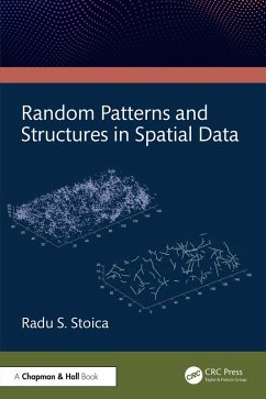 Cover Random Patterns and Structures in Spatial Data (eBook, PDF)