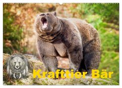 Krafttier Bär (Wandkalender 2026 DIN A2 quer), CALVENDO Monatskalender