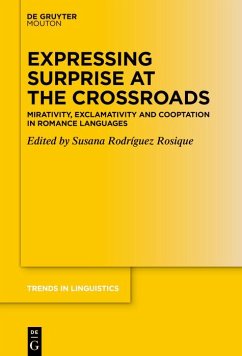 Cover Expressing Surprise at the Crossroads (eBook, ePUB)