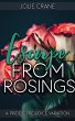 Escape from Rosings: A Pride and... - Bild 1
