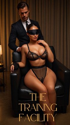 Cover The Training Facility (eBook, ePUB)