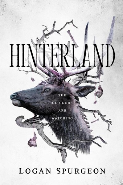Hinterland (eBook, ePUB) Hinterland (eBook, ePUB)