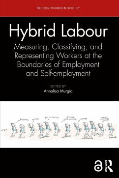 Cover Hybrid Labour (eBook, PDF)