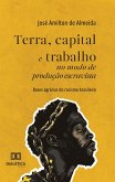 Terra, capital e trabalho no modo de produção escravista (eBook, ePUB)