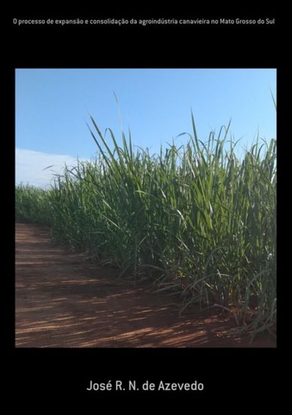 O Processo De Expansão E Consolidação Da Agroindústria Canavieira No Mato Grosso Do Sul (eBook, ePUB) O Processo De Expansão E Consolidação Da Agroindústria Canavieira No Mato Grosso Do Sul (eBook, ePUB)