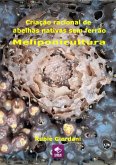 Criação Racional De Abelhas Nativas Sem Ferrão: Meliponicultura (eBook, ePUB)