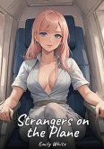 Strangers on the Plane (eBook, ePUB) Strangers on the Plane (eBook, ePUB)