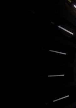 Cover O Mundo Bizarro De Douglas (eBook, PDF)