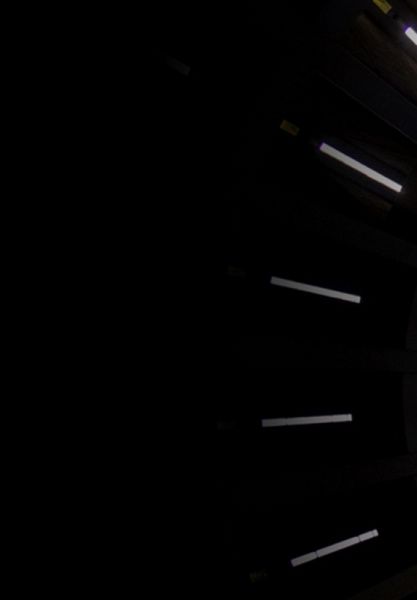 O Mundo Bizarro De Douglas (eBook, PDF)