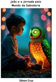 João E A Jornada Pelo Mundo Da Sabedoria (eBook, PDF)