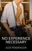 No Experience Necessary (eBook, ePUB) No Experience Necessary (eBook, ePUB)