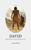 David: Caídas, Redención y el Soberano Propósito de Dios (eBook, ePUB)