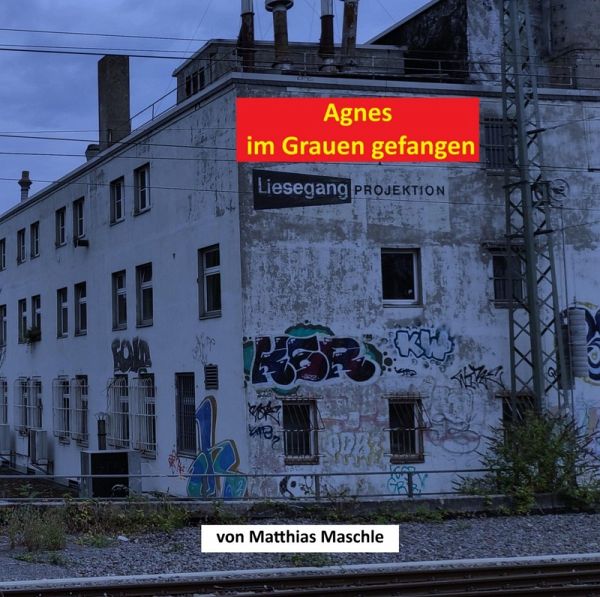 Agnes im Grauen gefangen (eBook, ePUB) Agnes im Grauen gefangen (eBook, ePUB)