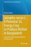Jatropha curcas L: A Potential 2G Energy Crop to Produce Biofuel in Bangladesh (eBook, PDF)