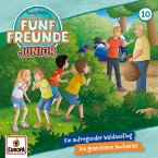 Folge 10: Ein aufregender Waldausflug/Die gestohlene Buchseite (MP3-Download)