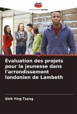 Évaluation des projets pour la jeunesse dans l'arrondissement londonien de Lambeth Évaluation des projets pour la jeunesse dans l'arrondissement londonien de Lambeth