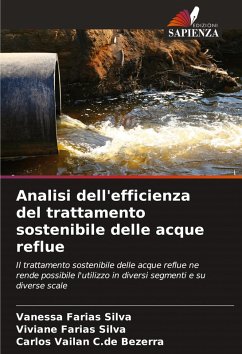 Cover Analisi dell'efficienza del trattamento sostenibile delle acque reflue
