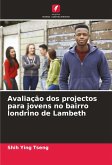 Avaliação dos projectos para jovens no bairro londrino de Lambeth