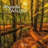 Magische Wälder 2026 - Bild 1