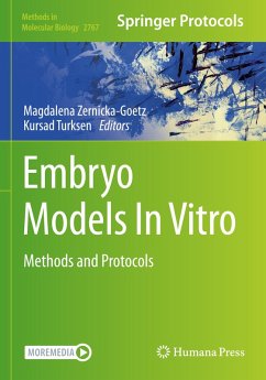 Cover Embryo Models In Vitro