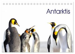 Antarktis - viaje.ch (Tischkalender 2026 DIN A5 quer), CALVENDO Monatskalender Antarktis - viaje.ch (Tischkalender 2026 DIN A5 quer), CALVENDO Monatskalender
