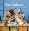 Schmusekatzen 2026 - Bild 1