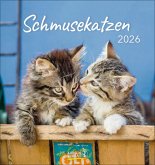 Schmusekatzen 2026 Schmusekatzen 2026