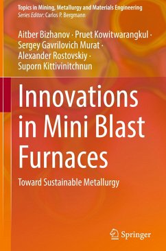 Cover Innovations in Mini Blast Furnaces