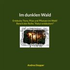 Im dunklen Wald